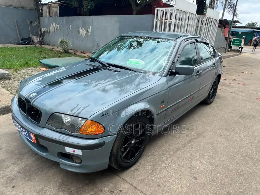 BMW 3 Series 2004 Gris