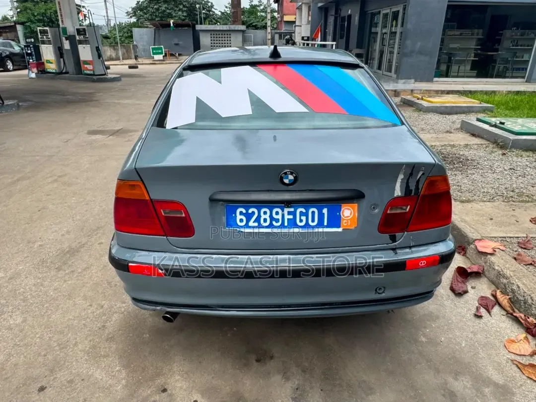 BMW 3 Series 2004 Gris