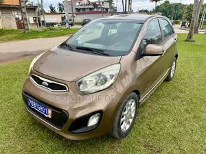 Kia Picanto 2015 Marron
