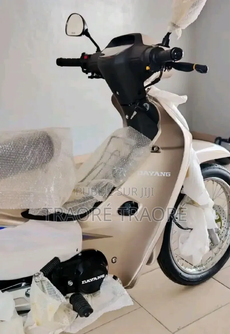 Nouveau Dayang DY100-A 2024 Autre