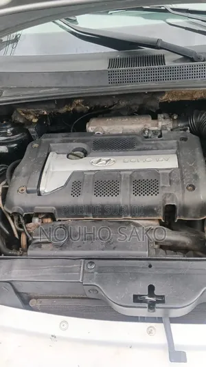 Hyundai Tucson 2006 Gris