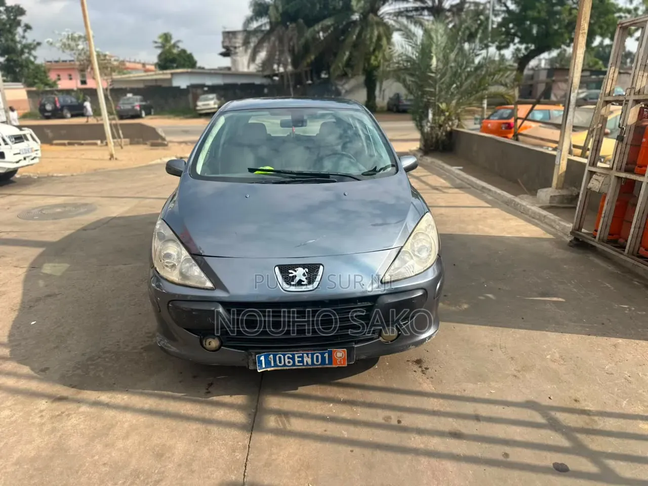 Peugeot 307 2003 Gris