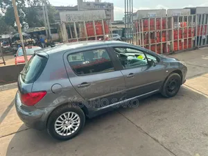 Peugeot 307 2003 Gris