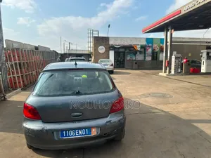 Peugeot 307 2003 Gris