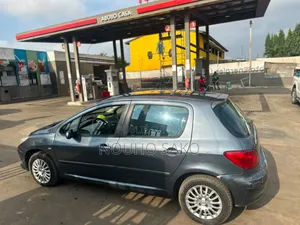 Peugeot 307 2003 Gris