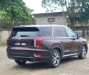 Hyundai Palissade 2020 Violet
