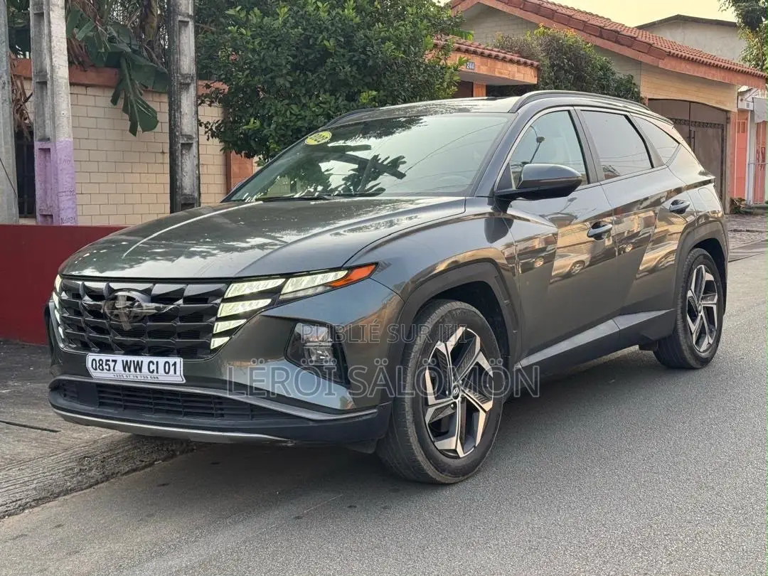 Hyundai Tucson 2022 Gris