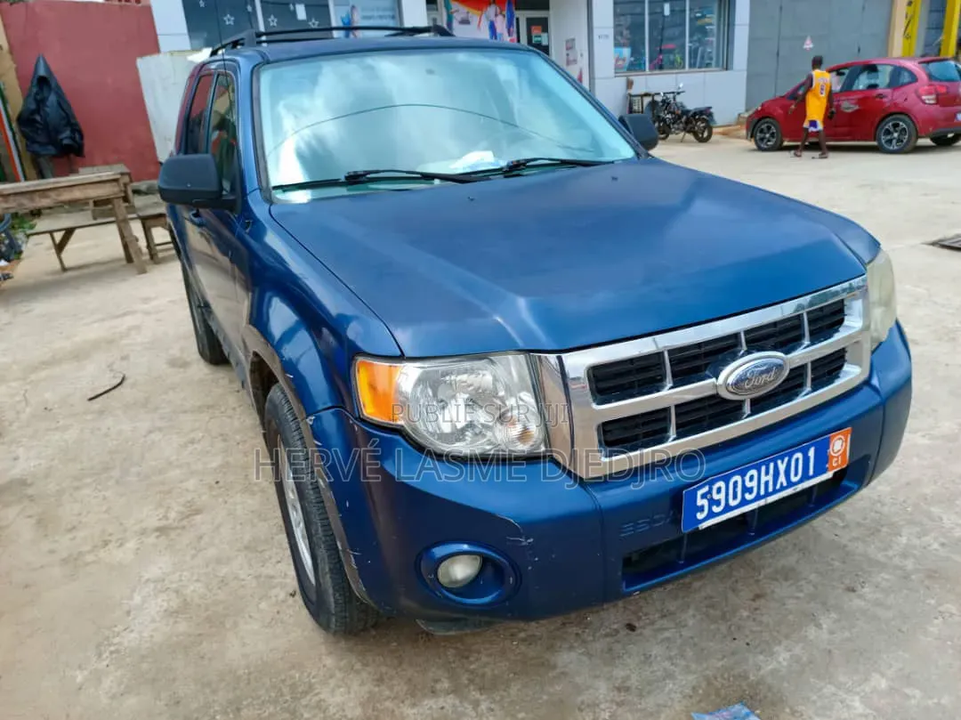 Ford Escape 2008 Bleu