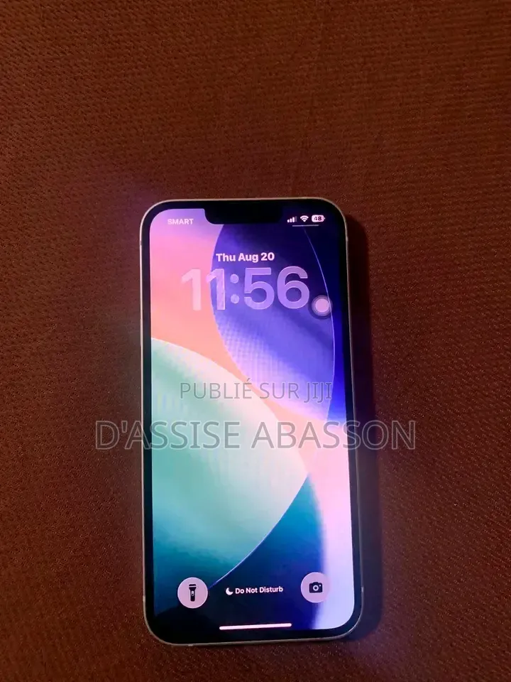 Nouveau Apple iPhone 13 Pro Max 256 GB Argenté
