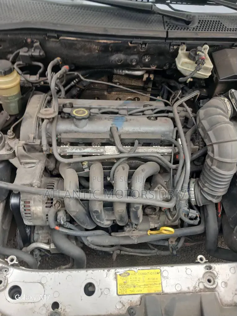 Ford Focus 2002 Gris