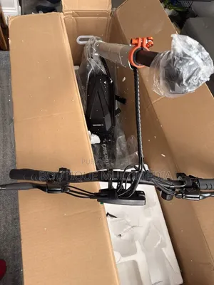 Vélo Électrique