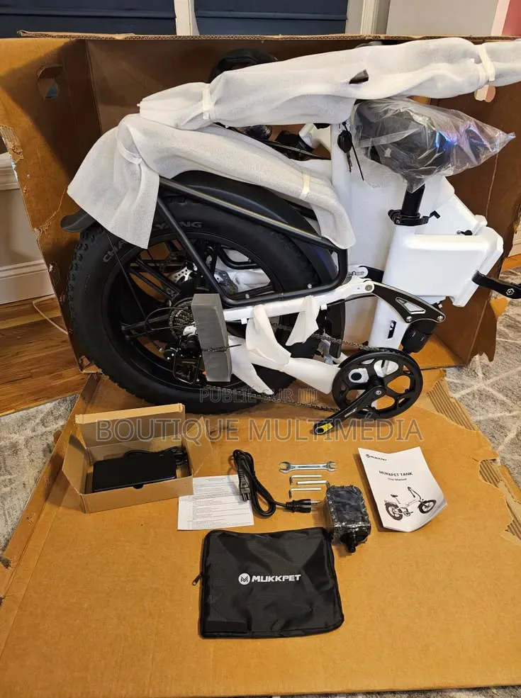 Vélo Électrique