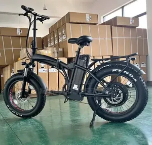 Vélo Électrique