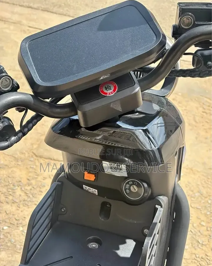Moto Électrique