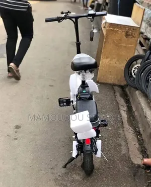 Vélo Électrique