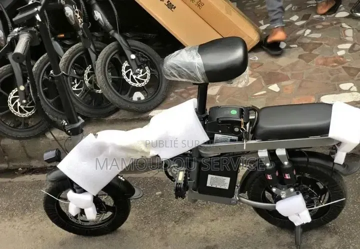 Vélo Électrique