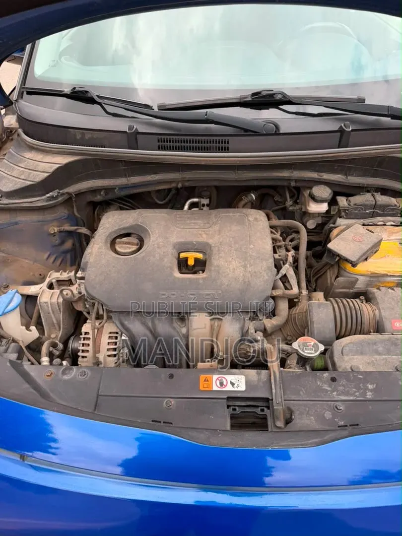 Kia Âme 2020 Bleu