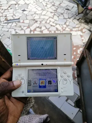 Nintendo Dsi Déjà Crackée