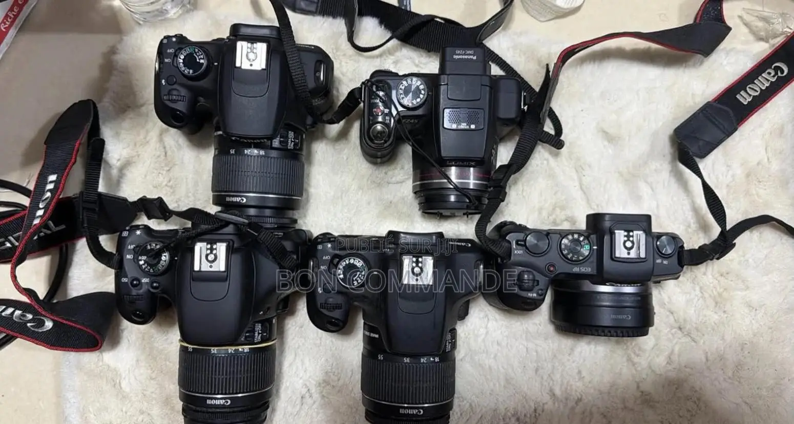Appareil Photo Et Professionnel