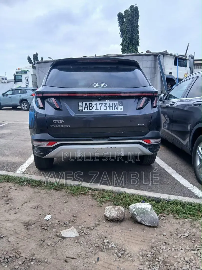Hyundai Tucson 2022 Gris