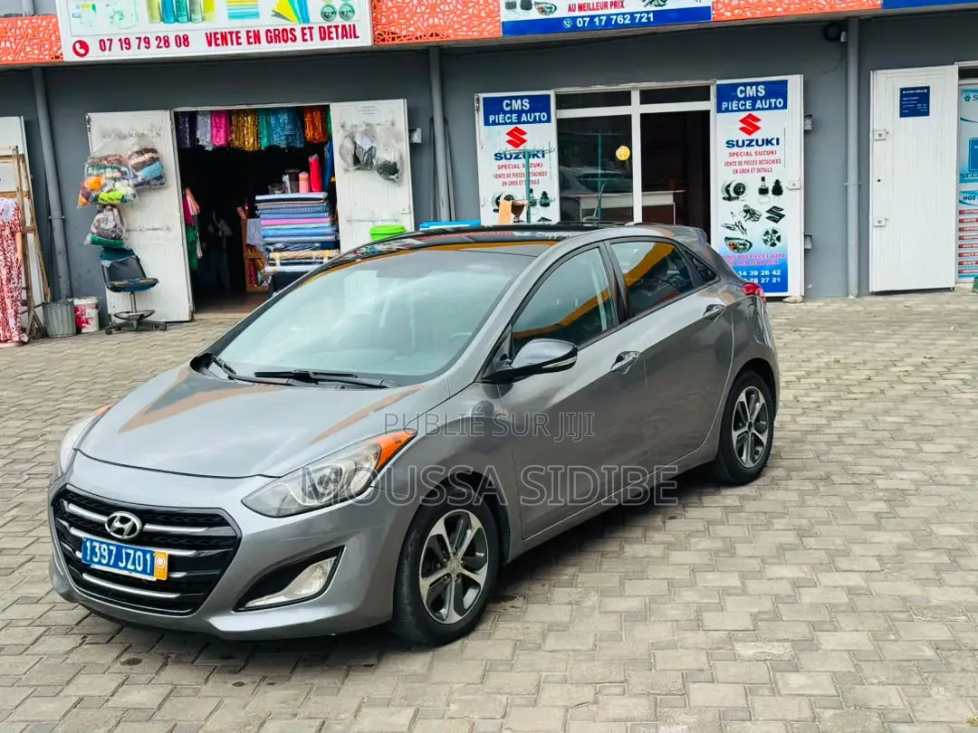 Hyundai Elantra 2017 Gris
