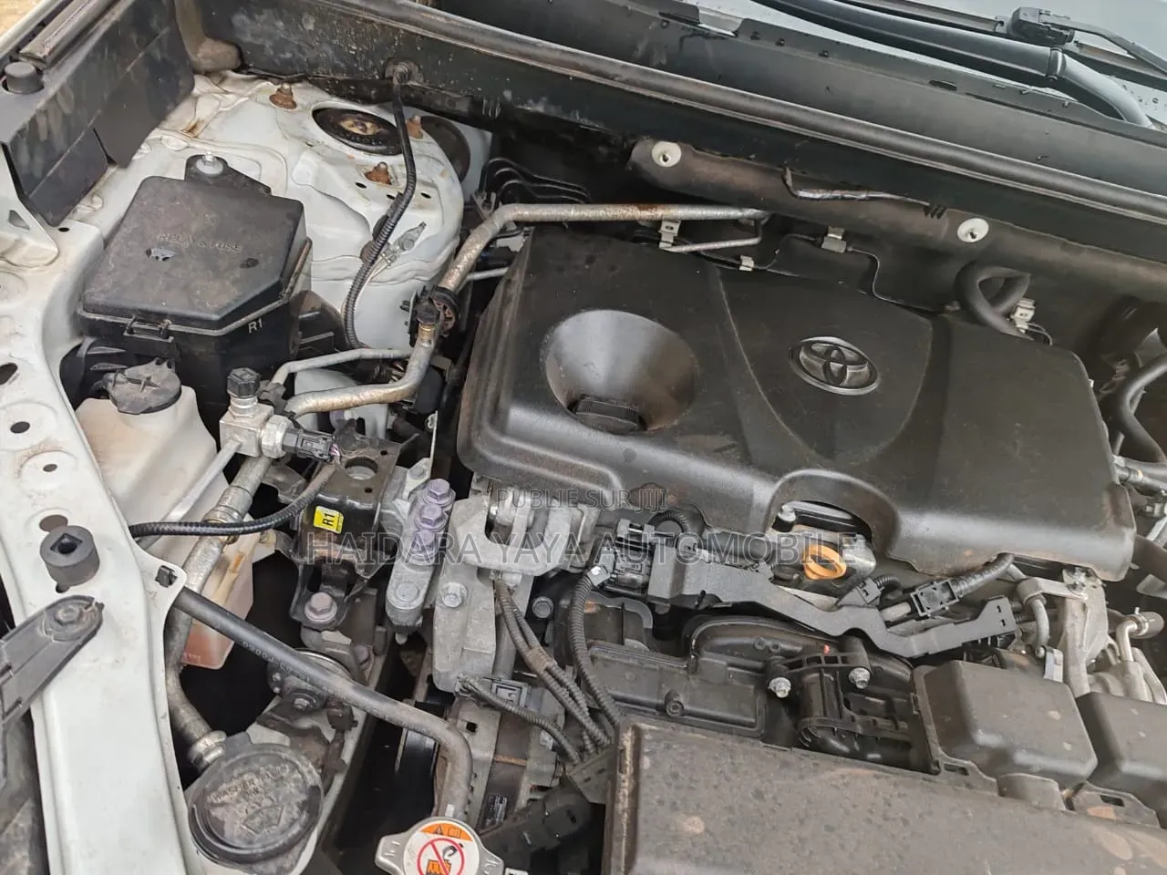 Toyota RAV4 2021 Blanc
