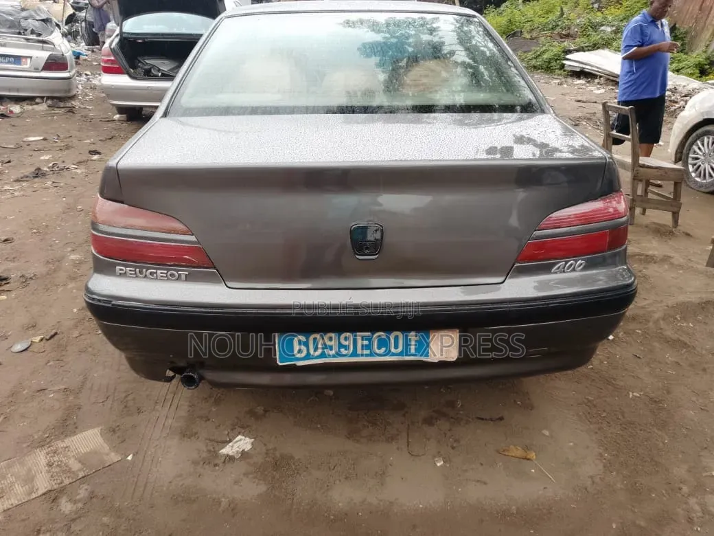Peugeot 406 2002 Gris