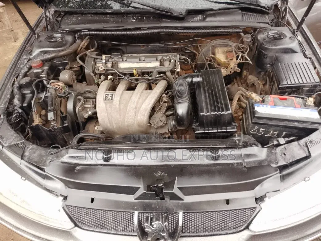 Peugeot 406 2002 Gris