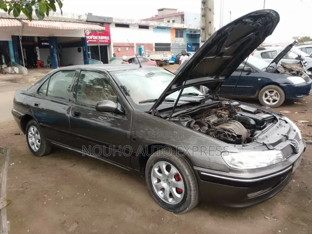 Peugeot 406 2002 Gris