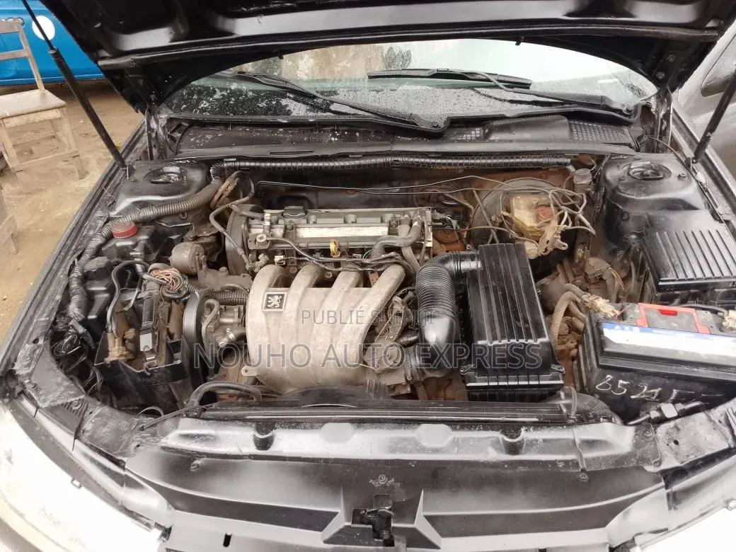 Peugeot 406 2002 Gris