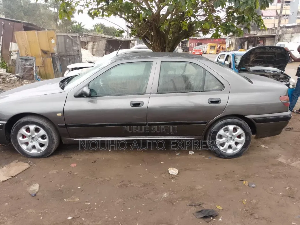 Peugeot 406 2002 Gris