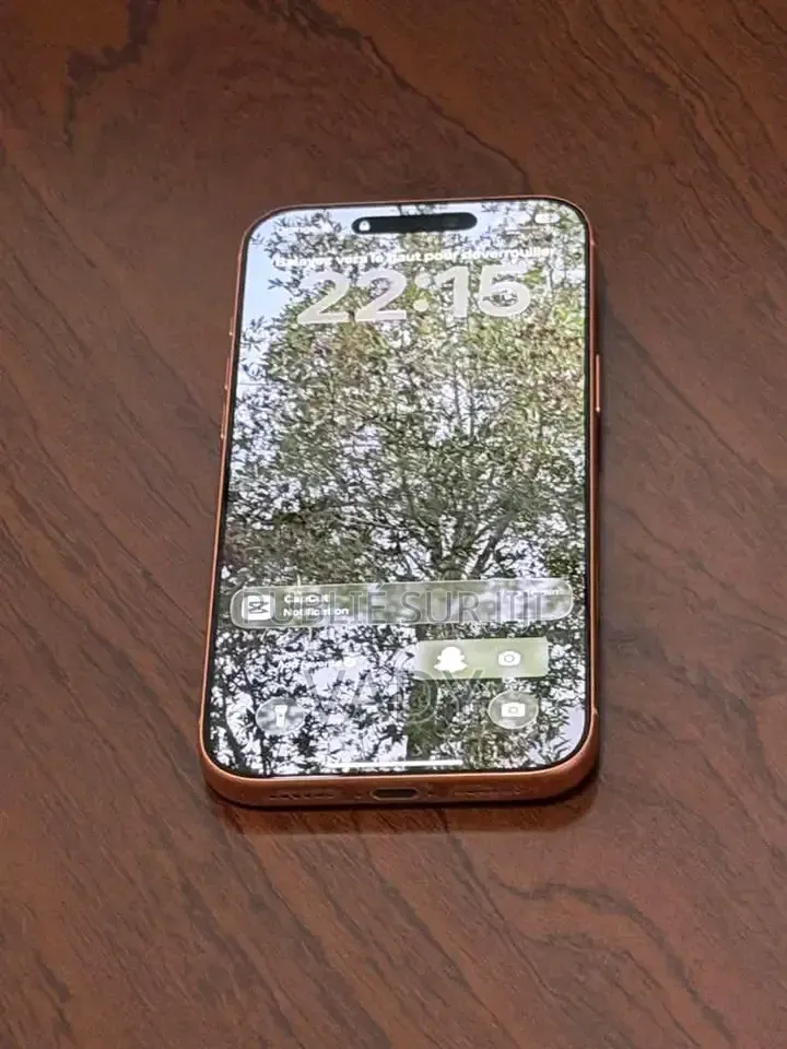 Apple iPhone 17 Pro Max 512 GB Orange