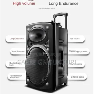 Système De Sonorisation Haut Parleur Bluetooth