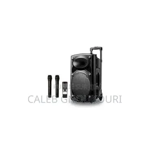 Système De Sonorisation Haut Parleur Bluetooth