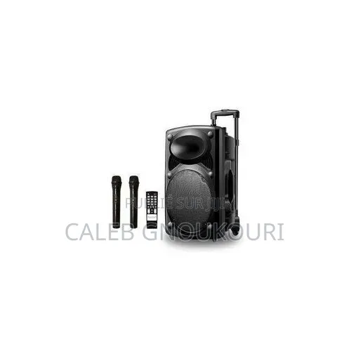 Système De Sonorisation Haut Parleur Bluetooth