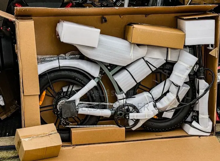 Vélo Électrique