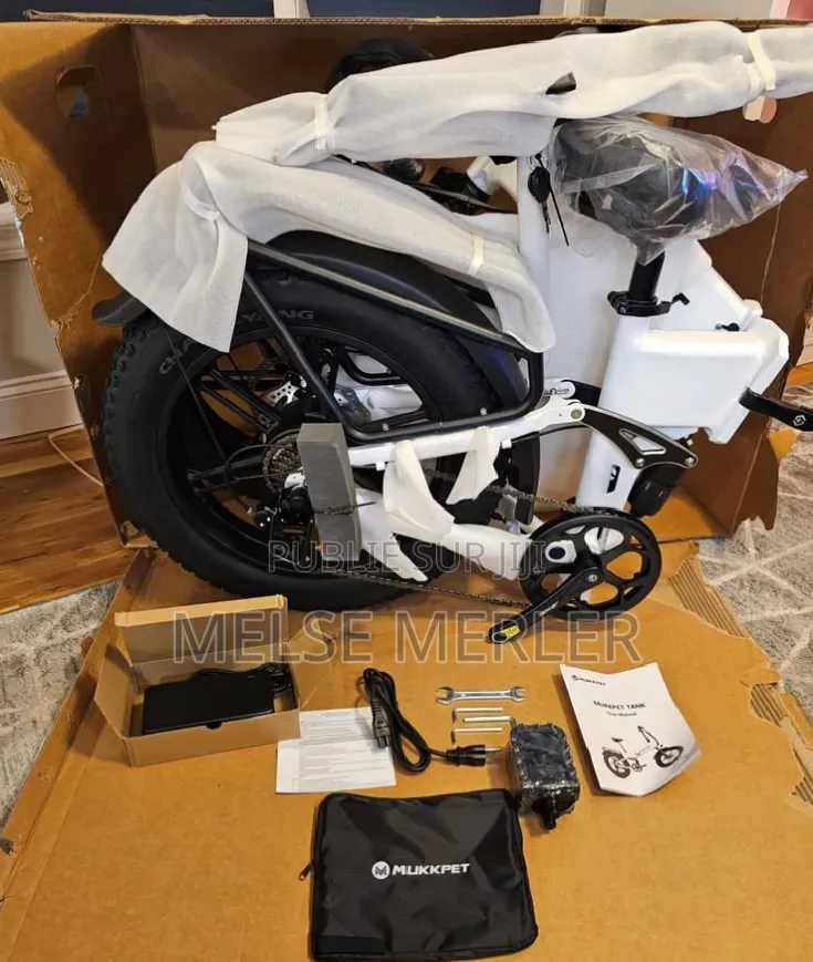 Vélo Électrique