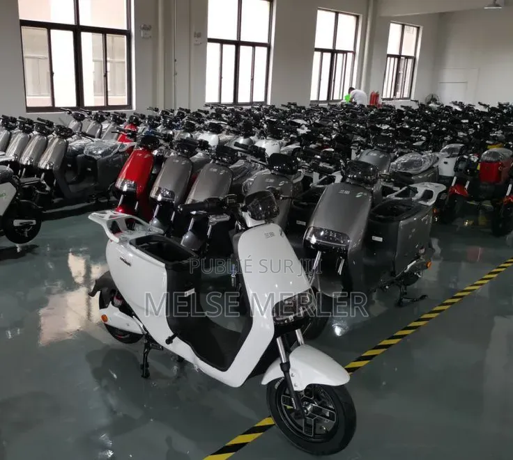 Moto Électrique