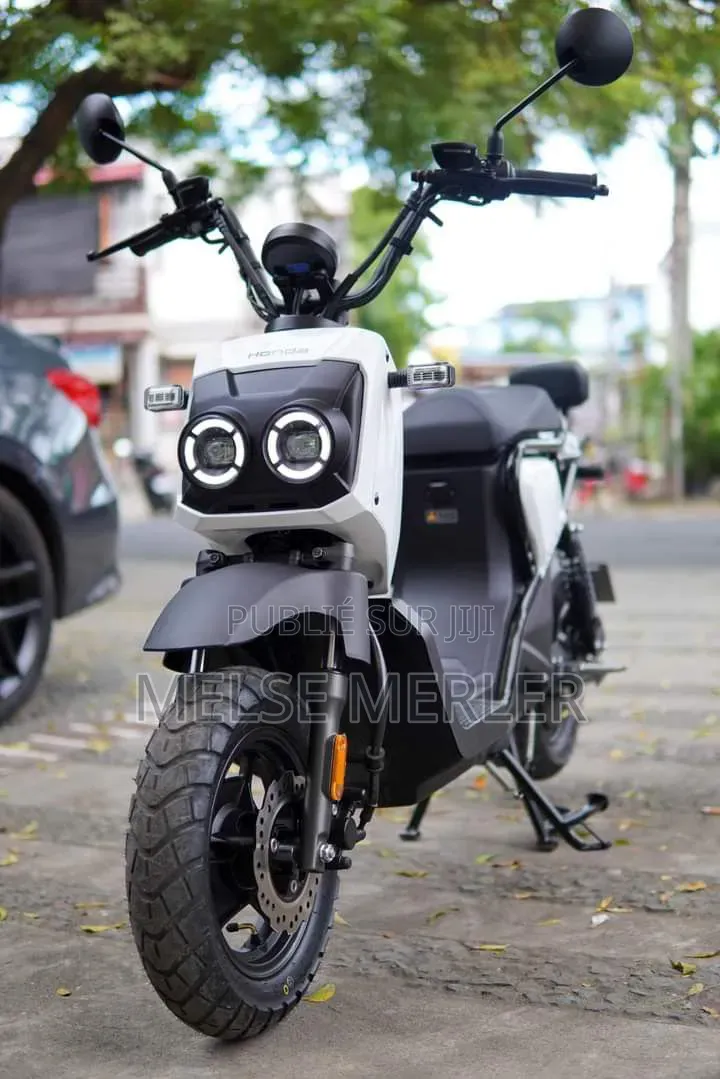 Moto Électrique