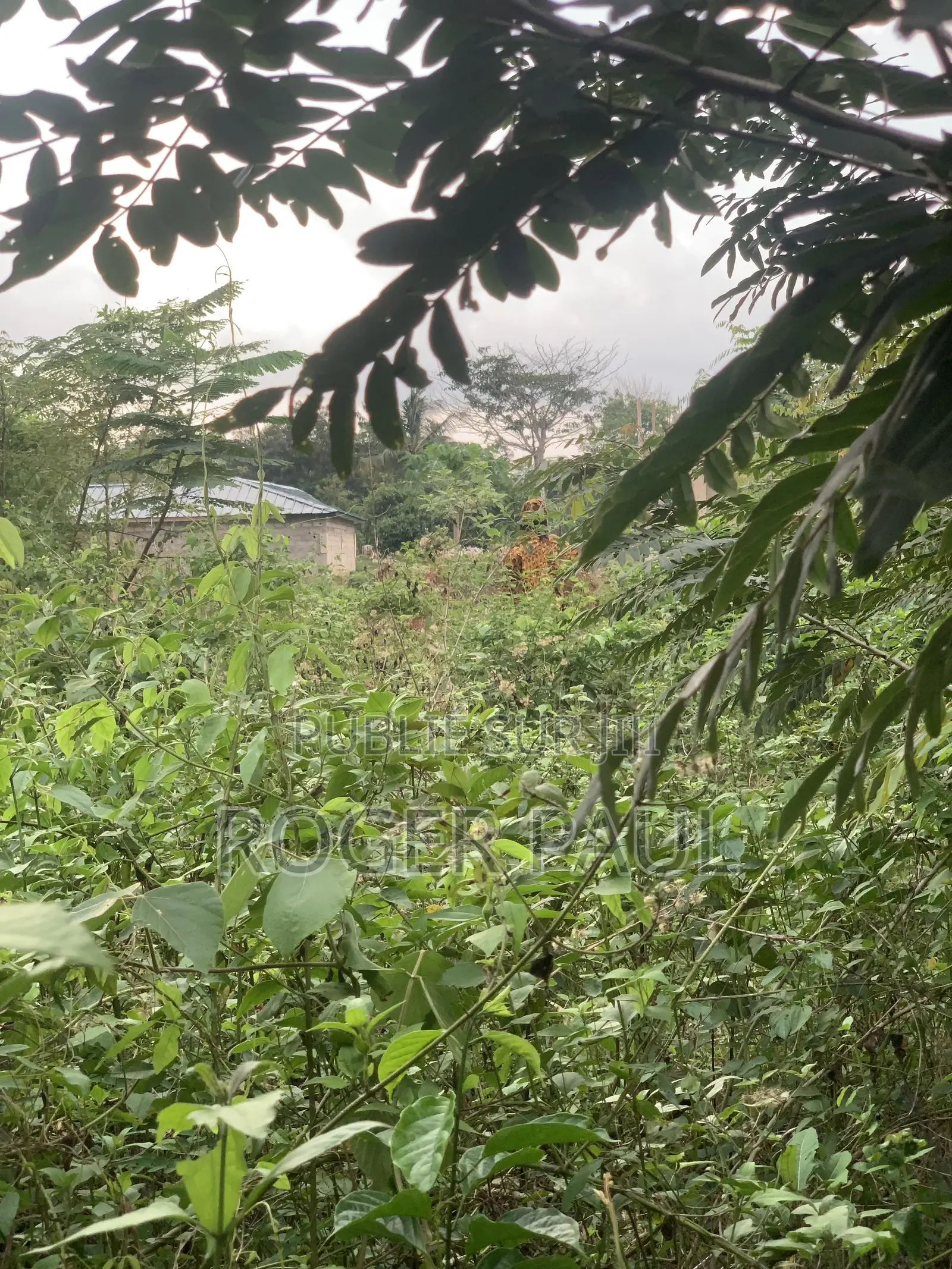 Terrain À Vendre À Songon Kassembe