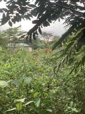 Terrain À Vendre À Songon Kassembe