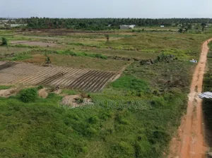 Terrain Anyama - M'brago (Acd)