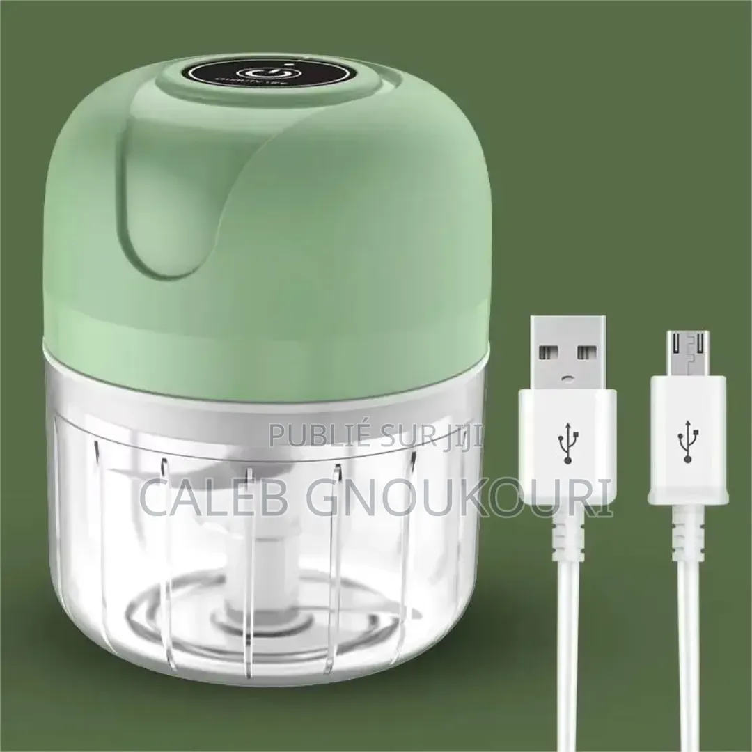 Mini Hachoir Électrique