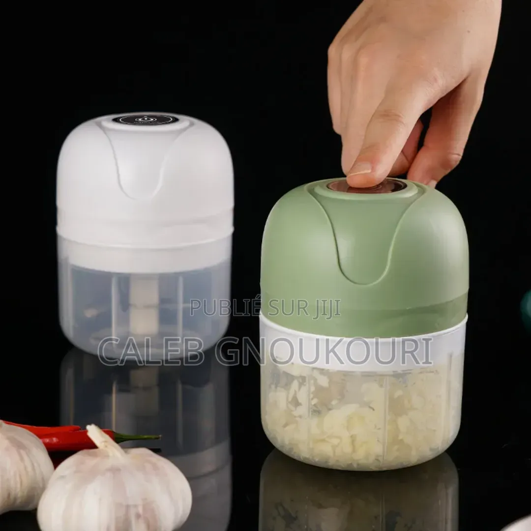 Mini Hachoir Électrique