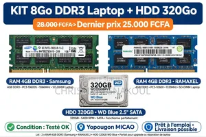 Ram d'Ordinateur