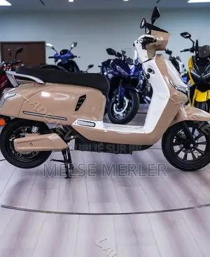 Nouveau Arche Vector 2025 Autre