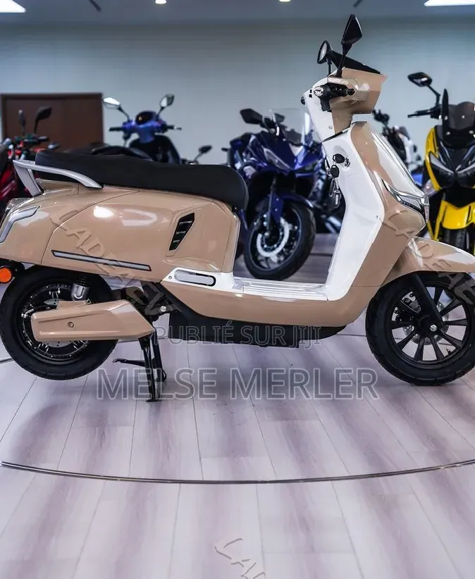 Nouveau Arche Vector 2025 Autre