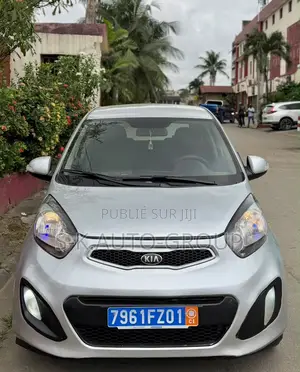 Kia Picanto 2013 Gris