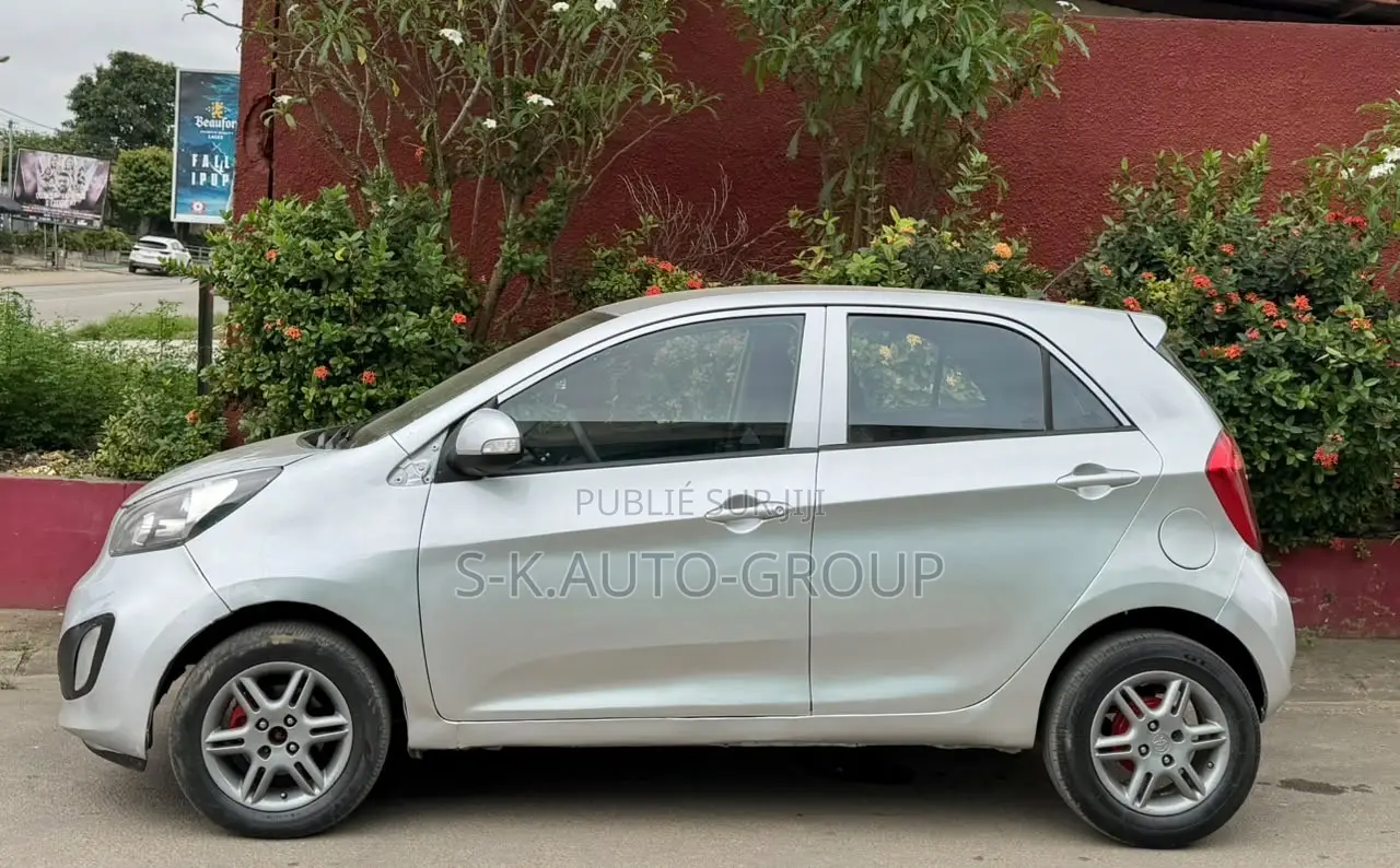 Kia Picanto 2013 Gris