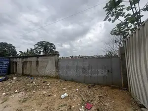 Vente Terrain Mixte 691 M2 À Cocody Riviera Bonoumin